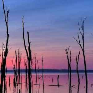 Meet your Posher, Ebony